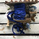 Old Vintage Cobalt Blue Ribbon 1.2m
