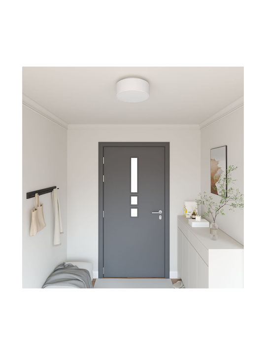 vidaXL Lighting fixtures Ceiling Mount Light 30cm White with Socket E27