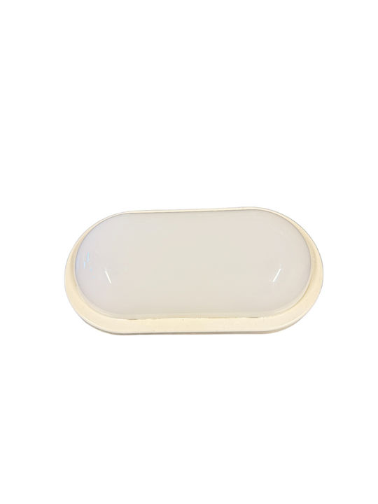 Horoz Electric Lumină de exterior montată pe perete LED cu Alb Rece Lumină