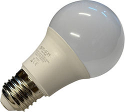 Ed-Son Bec LED 8.5W