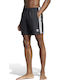 Originals Men's Swimwear Shorts Black Striped