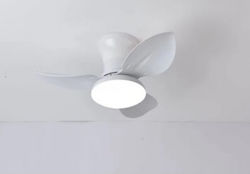 Home Lighting Adam Ceiling Fan 65cm with White ...