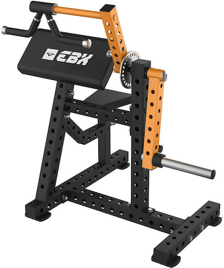 eBoxing Extension Ebx Biceps/Triceps Machine without Weights