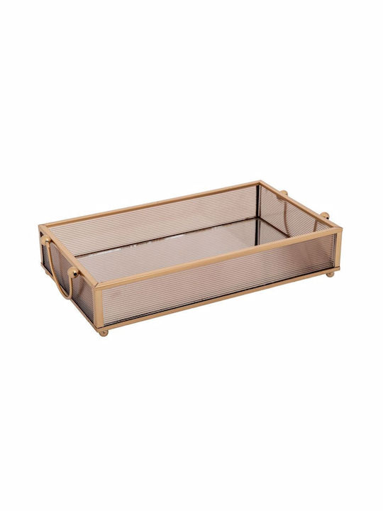 Iliadis Metallic Rectangular Decorative Tray with Mirror 24x14x5cm