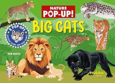 Big Cats Big Cats