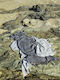 Nima Argos Beach Towel Pareo Gray 150x95cm.