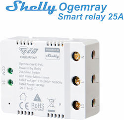 Smart Smart Switch Wi-Fi & Bluetooth 25A Smart Smart Switch Wi-Fi & Bluetooth 25A