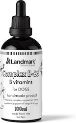 Complex Β-25 Σύμπλεγμα Βιταμινών Β Σκύλο Μέγεθος 200ml Complex Β-25 Σύμπλεγμα Βιταμινών Β Σκύλο Μέγεθος 200ml