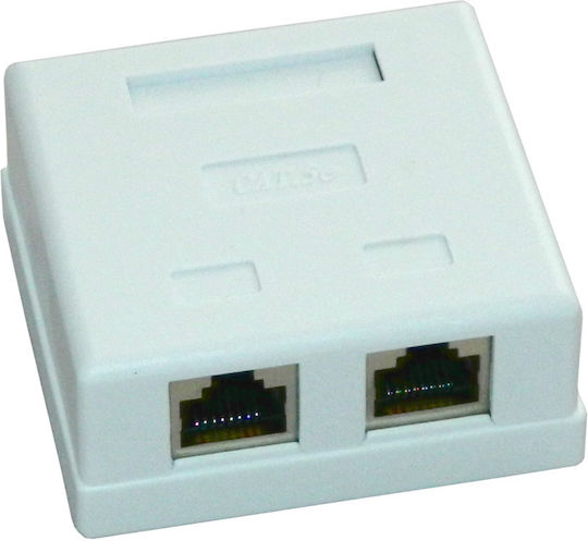 Dual Ftp Socket Category 5e Emtex Emt-ftp5e-2p-pt