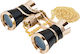 Braun Phototechnik Binoculars 3x25mm
