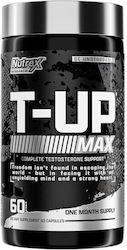 Nutrex T-UP 60 Kapseln Nutrex T-UP 60 Kapseln