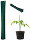 Set 50 Țepușe pentru Plante Relaxdays Verde din...