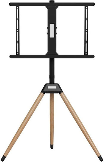 Gembird TVS-75ST-01 Βάση Τηλεόρασης Δαπέδου έως 75"