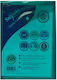 Snopake A4 Translucent Green Button Folder 24x33