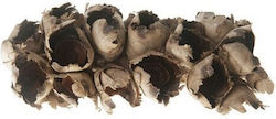 Cacho Coco Half Natural 30cm