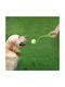 Hunde-Ballwurfgerät Set 4-teilig Relaxdays Mehrfarbig