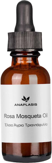 Anaplasis Ulei de Măceșe 50ml