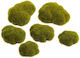 Moss Stones Decoration 6 Pcs 8cm