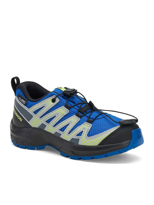 Salomon Xa Pro V8 Водонепромукаеми Син