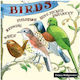 Decoupage Napkin 1pc