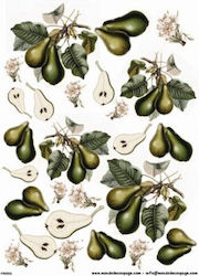 Rice Paper Mondo Decoupage 30x40cm
