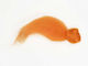 Filz Merino Langfaser Leuchtorange