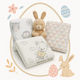 Special Offer Blanket Pillow Set 99901100000