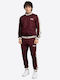 Aswell Σετ Φόρμας με Λάστιχο Oxblood/ecru
