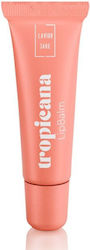 Lavish Care Lip Balm 10ml Lavish Care Lip Balm 10ml