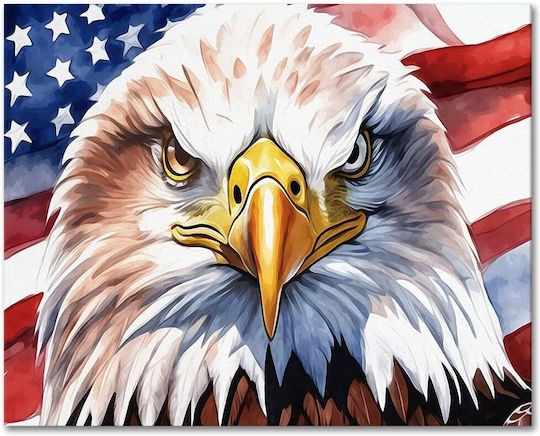 Diy Paint By Numbers Eagle Usa Flag 40x50cm Acrylic Paints