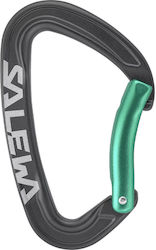 Salewa Ortles Bent Karabiner 98 x 61 mm
