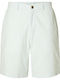 Men's Shorts Witer Sky