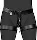 Shots Leather Penis Cage in Black Color