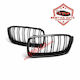 Best-Ka Dekorative Auto Maske BMW F30