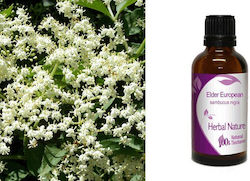 Nature & Body Βάμμα 50ml Μέντα Nature & Body Βάμμα 50ml Μέντα
