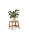 Taburet Din Lemn Pentru Exterior 29.5x22x25.5cm