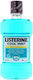 Listerine Cool Mint Antiseptic Mouthwash