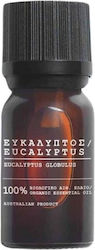 Freya Skin Care Ätherisches Öl Eukalyptus 10ml