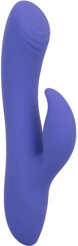 Calexotics Calex Connect Dual Stimulator Clitoral Stimulation G Spot Vibrator 2-in-1 Dual Vibrator App Purple