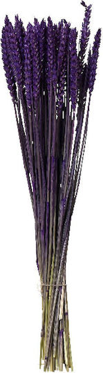 Buchet uscat 55cm 14x14x55cm Mov Kaeming