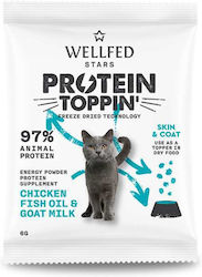 Wellfed Wet Food 6gr Wellfed Wet Food 6gr