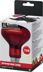 Reptile Heating As Reptile Infrared Heat Lamp 75w E27