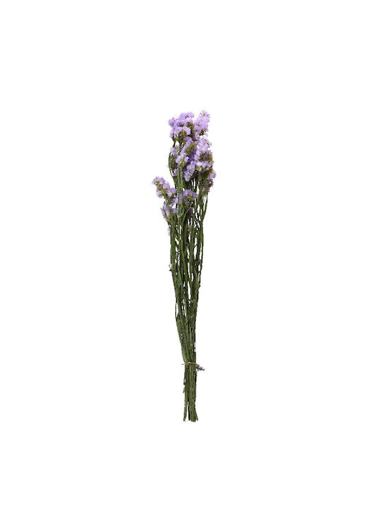 Dried Bouquet 55cm 14x14x55cm Design 2 Kaeming