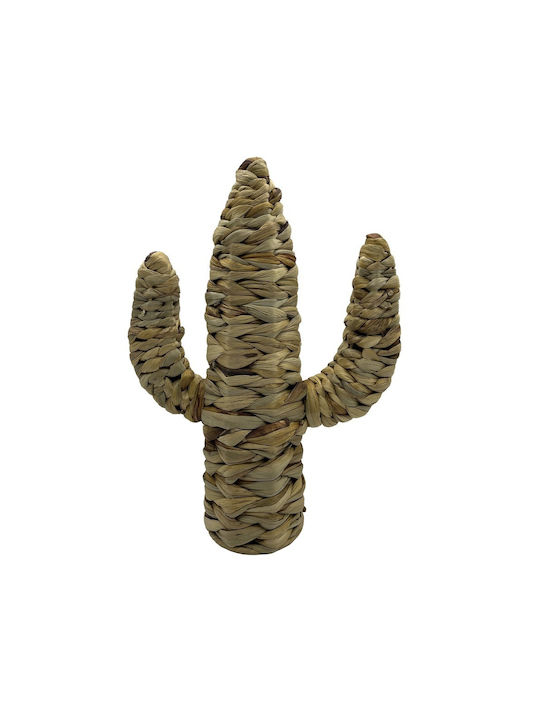 Decorative Cactus 28 W ×40 H Cm Water Hyacinth Natural