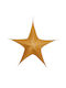 MSA Christmas Decorative Pendant Star