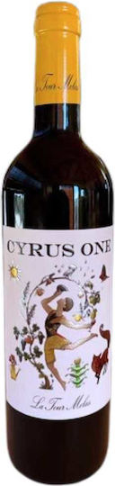 Cyrus One Vin Roșu Sec în Cutie De Lemn 1500ml