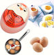 Countdown Analog Kitchen Timer