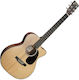 Semi-Acoustic Guitar Spruce