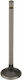 Prox Auslassventil Stahl 28.1381-1 Honda XR 200 80-84