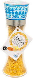 Salt Odyssey Κουρκουμάς σε Μύλο 200gr